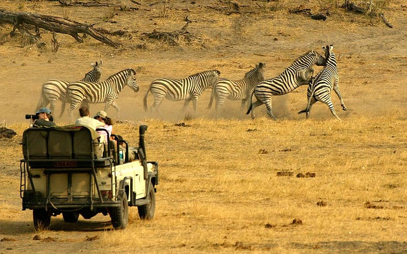 Tanzania Safari Tours time to experience